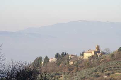 La primavera è già arrivata in Mugello? Sembra di sì, le foto