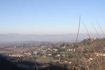La primavera è già arrivata in Mugello? Sembra di sì, le foto