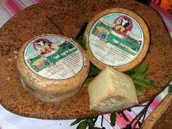 Il Pecorino del Mugello. Una bontà dei nostri allevamenti...