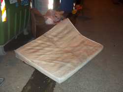 Borgo. I furbetti del cassonetto...