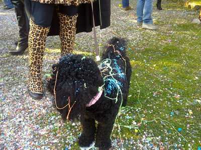 Borgo. Finalmente si sfila, le foto del carnevale