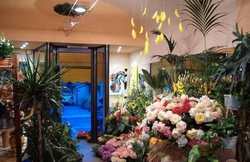 Via un pezzo di storia. Va in pensione Piero, lo storico fioraio di Scarperia