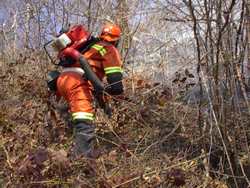 Finisce con l'auto nel bosco. Paura per una 24 enne di San Piero a Sieve