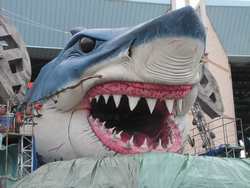 Aspettando la sfilata di Borgo. Le foto di Viareggio di un lettore...