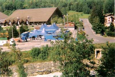 L’ippopotamo più piccolo d’Europa, i Piranha e le Fontane Danzanti. A Borgo il Circo Acquatico. Info