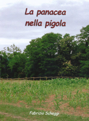 Fabrizio Scheggi espone a Dicomano