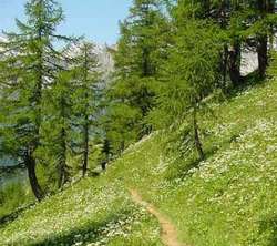 Firenzuola. Covigliaio diventa area protetta. Sabato l'inaugurazione