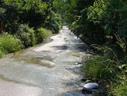 Pesticidi? Inquinamento? A San Piero ci si ammala più che negli altri paesi? Un'indagine scientifica...