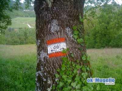 Il sole splendeva sulla Magnalonga 2011. Le foto e il bilancio dell'iniziativa