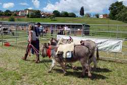 La natura a 'ingresso libero'. Sabato e domenica a Villa Demidoff c'è Ruralia. Il programma...