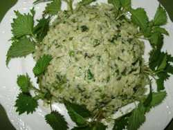 Cucinare in Estate. La ricetta del Risotto con le Ortiche