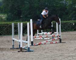 Tutti promossi gli allievi del corso brevetto della scuderia La Torre.