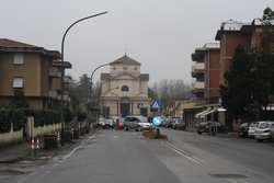 Borgo. Chi annaffia i nuovi alberi di Viale Pecori? 'Lavori a rilento e una pianta già secca'