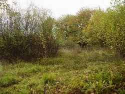 Il Comune di San Piero vende un terreno fabbricativo. Info per partecipare all'asta...