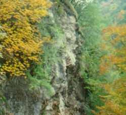 Gattaia. Cade in un burrone per 50 metri. Gravissimo fiorentino di 55anni. Difficili i soccorsi