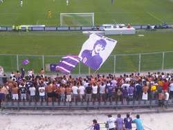 Fiorentina - Cittadella 2 - 1. Le foto del Ciclone Viola