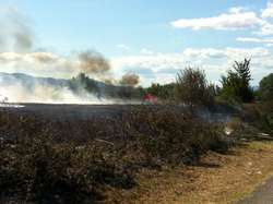 Arbusti e sterpaglie. Grande incendio ieri a Campi. Chiusa per due ore la Via Barberinese