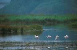 Piccoli naturalisti! Una settimana di emozioni per i bimbi a Bilancino. Info...