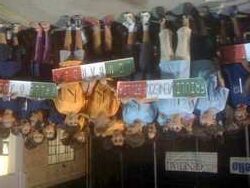 Sfide, partite, pony e Kart. Al via il Settembre Giovanile