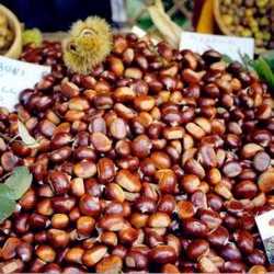 Arriva l'autunno? Il fine settimana in Mugello è dedicato ai marroni. Giorno & Notte, gli appuntamenti