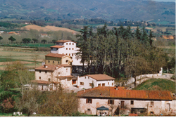 Religioni e politica nel mondo globale : se ne parla venerdì al Villaggio La Brocchi