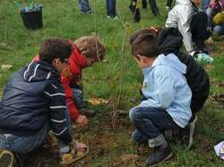 Marradi. Un albero per ogni nuovo bebè