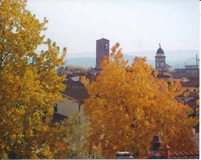 Autunno, il Mugello si veste di colori. Le foto...