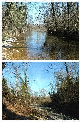 Povera Carza! La morte di un fiume nelle immagini di ieri e di oggi