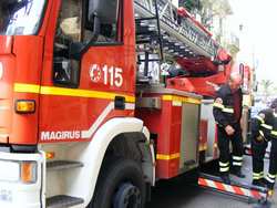 Ronta. Grosso ramo cade e distrugge un'auto in sosta. Tragedia evitata per un soffio