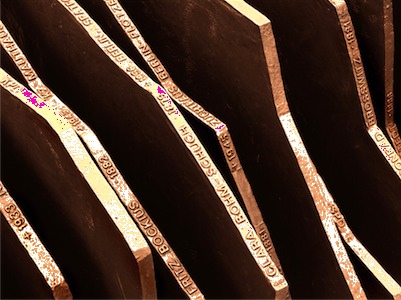 E adesso sono nel vento: una mostra del Photo Club per non dimenticare gli orrori dei campi di sterminio