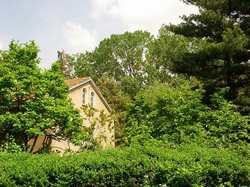 Palazzuolo. Villetta abusiva al posto del rudere. La Forestale indaga...