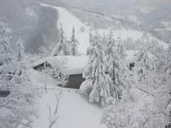 Marradi. Salvataggio spettacolare: trovato e soccorso 'l'eremita' dei monti'...