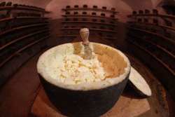 Taste 2012. I formaggi del Palagiaccio scelti da Gucci....