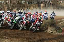 Motocross. Al via il Campionato Regionale. Foto della prima gara...