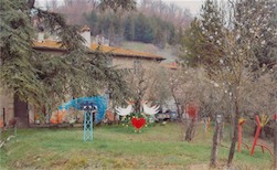 Una Pasquetta fra galli, gatti, conigli e tacchini...di ferro!