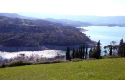 Arrivata la pioggia, ma basterà a guarire il lago? Foto e racconto di quel che resta di Bilancino.