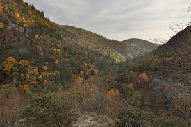 25 anni di escursioni sul territorio: Buon Compleanno GEV!