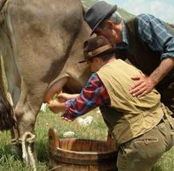 L'Unione dei Comuni: 'Stalle Aperte, un successo'. In Mugello migliaia di persone...
