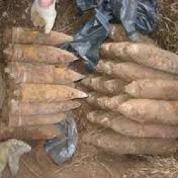 Ventisei bombe della Seconda Guerra Mondiale ritrovate da un cercatore di funghi.