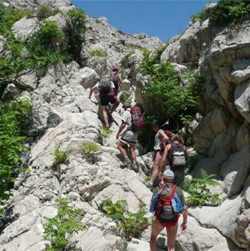 Il Gruppo Escursionistico di Vicchio cerca volontari per la risistemazione del Sentiero di Giotto