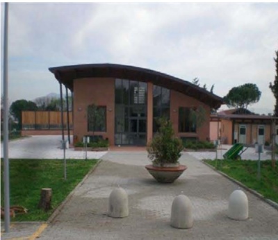 Perché non adottare un cane? La proposta del Parco degli Animali!