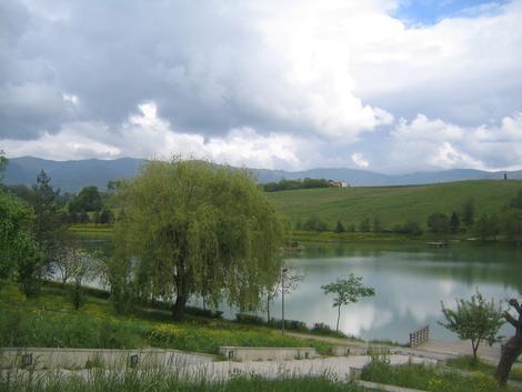 Vicchio. Moria di oche al Lago. Le sinistre: 'Escludere rischi per la salute'...