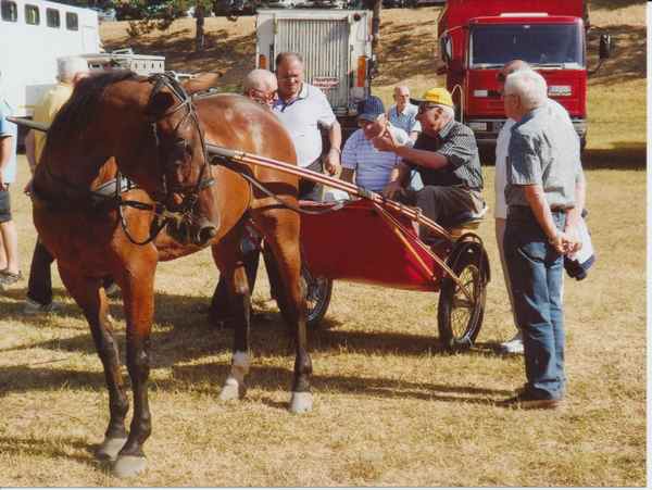 La Fiera del bestiame a Vicchio...