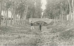 Le Cale in secca, quali i veri motivi?