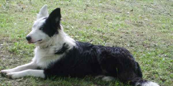 Ritroviamo Milady...