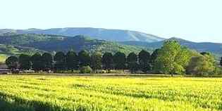 Unione dei Comuni. 'Perché ho votato sì allo statuto'