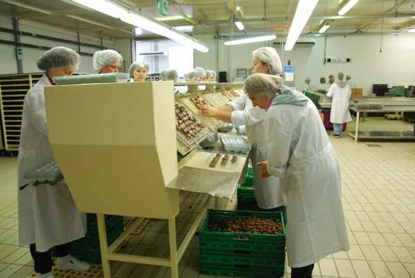 'Poveri ma buoni': il Marrone del Mugello al centro di una giornata