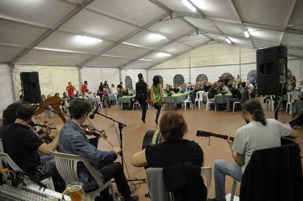 Tante iniziative per l'Organo Stefanini. Info...