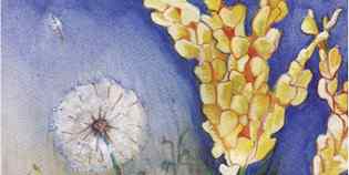 'Re Bocca di Leone'. La nuova fiaba mugellana...