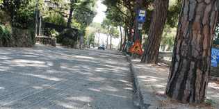 Dicomano cambia look. Via i pini di Viale Don Bosco